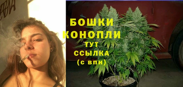 молекула духа Армянск